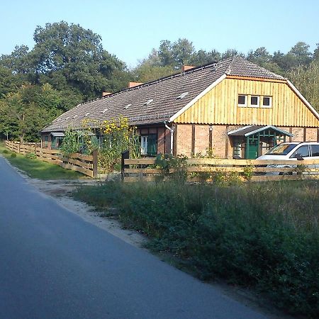 Ferienwohnungen 3 Birken Briesen  ภายนอก รูปภาพ